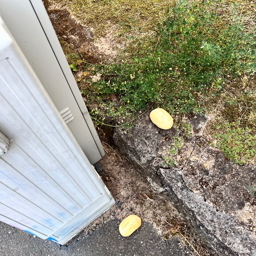 Giftköder-Brötchen am Stromkasten ausgelegt-Profilbild