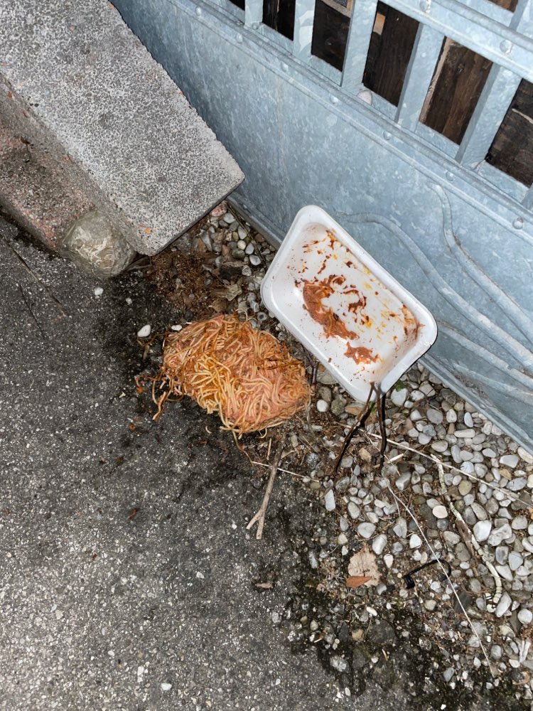 Giftköder-Giftköder-Profilbild