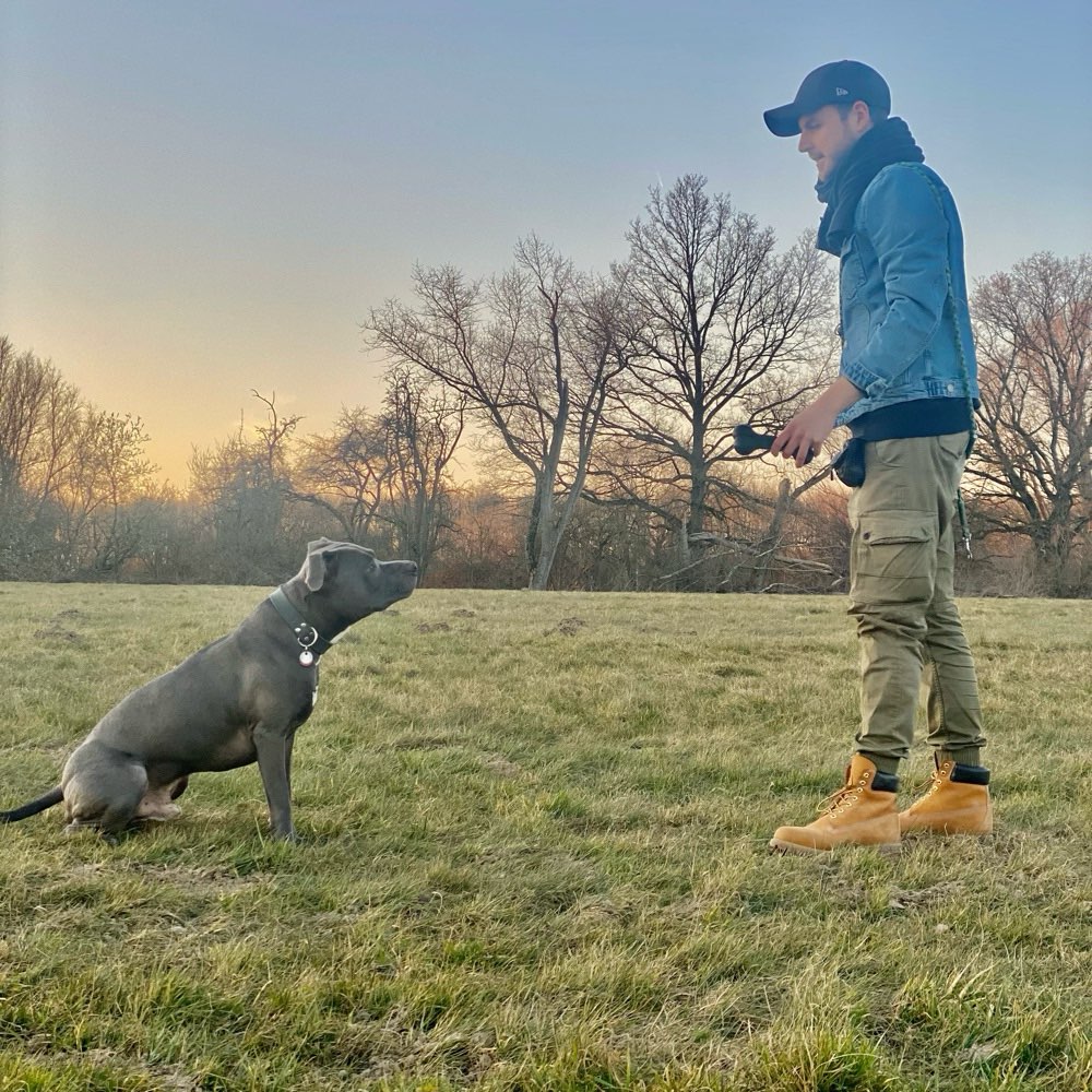 Hundetreffen-Hunderunde in Nordkirchen und Umgebung-Profilbild