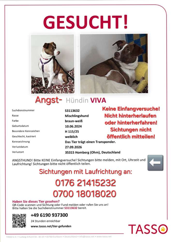 Suchmeldung-Viva-Profilbild