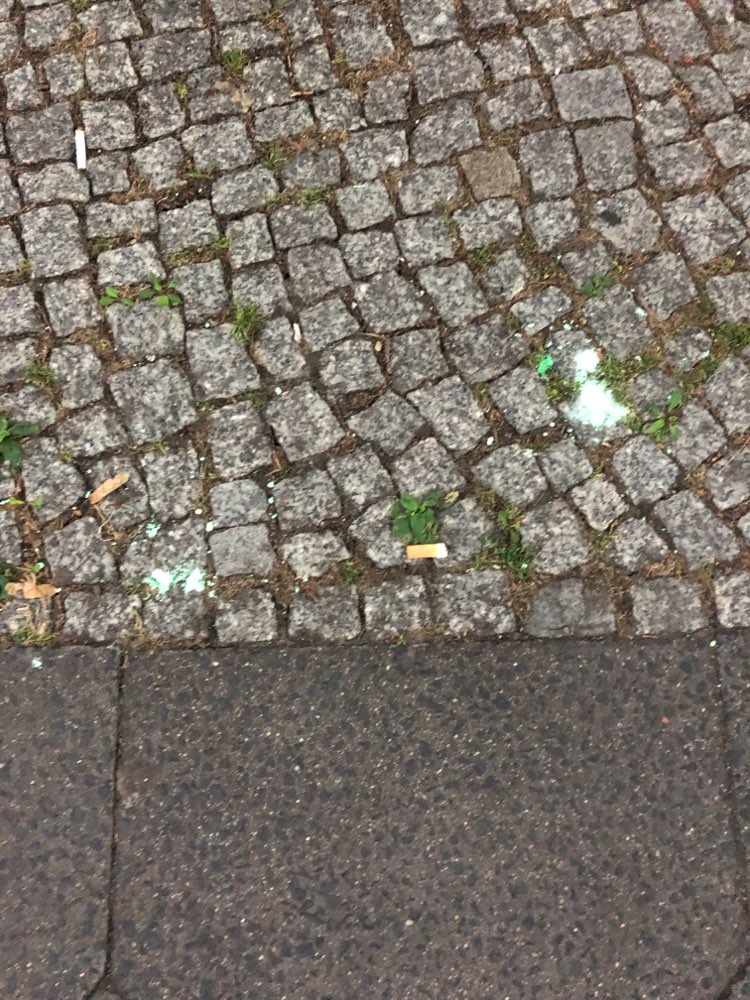 Giftköder-Grünes Pulver auf der Straße-Profilbild