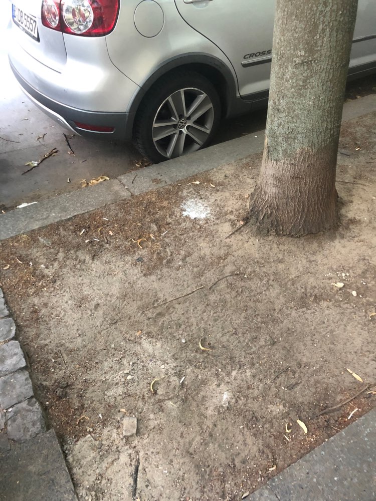 Giftköder-Weiß-blaues Pulver am Wegrand-Profilbild