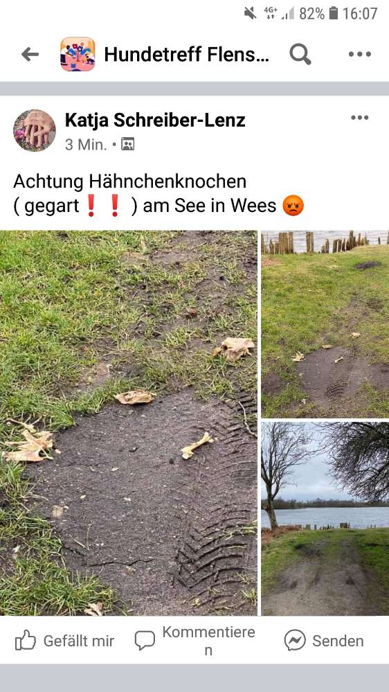 Giftköder-Hähnchenknochen-Profilbild
