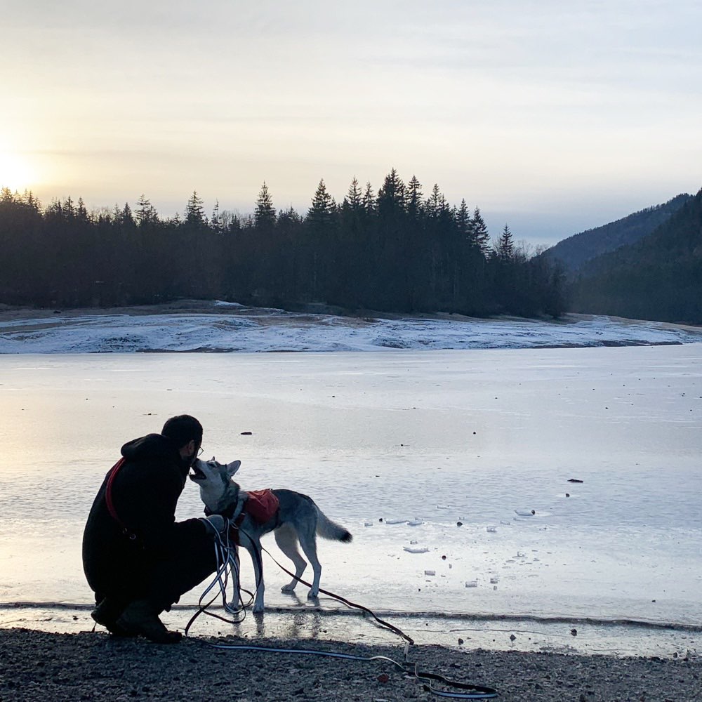 Hundetreffen-Spiel- und Trainingsbuddy gesucht-Profilbild