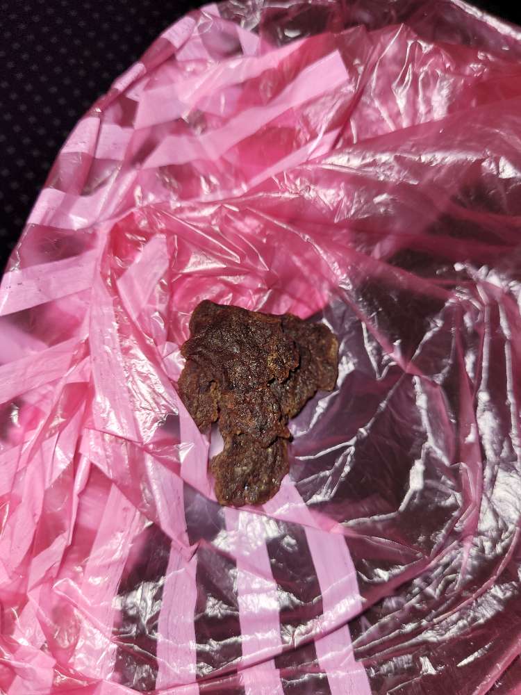 Giftköder-Giftködergefahr-Profilbild