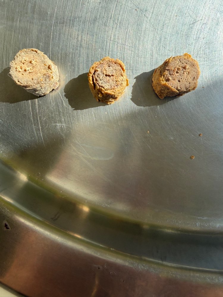 Giftköder-Mutmaßliche Giftköder-Profilbild