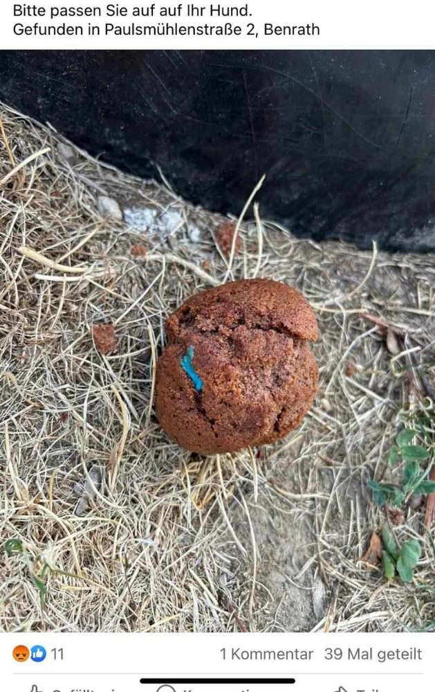 Giftköder-Giftköder-Profilbild