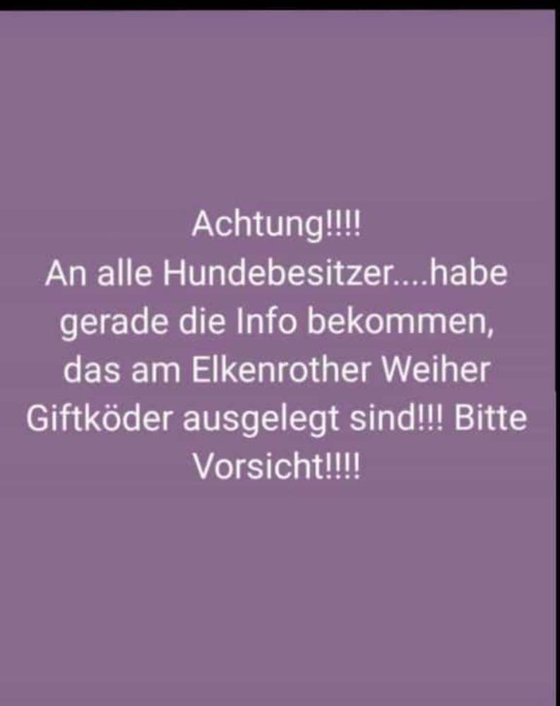 Giftköder-Giftköder-Profilbild