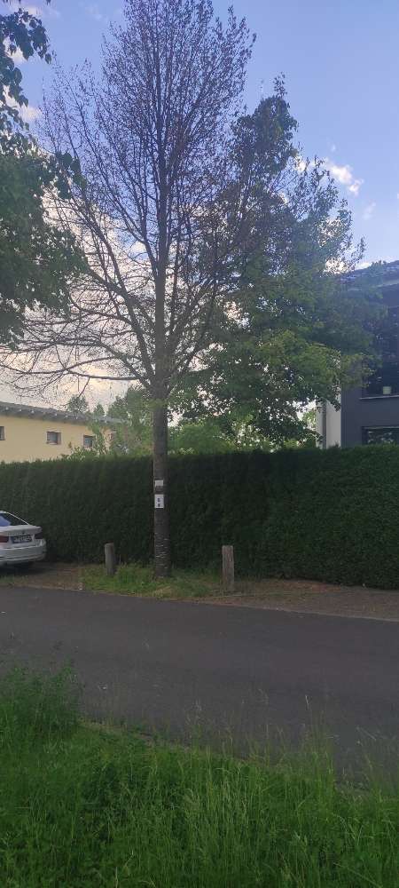 Giftköder-Unbekanntes Gift ausgebracht-Profilbild