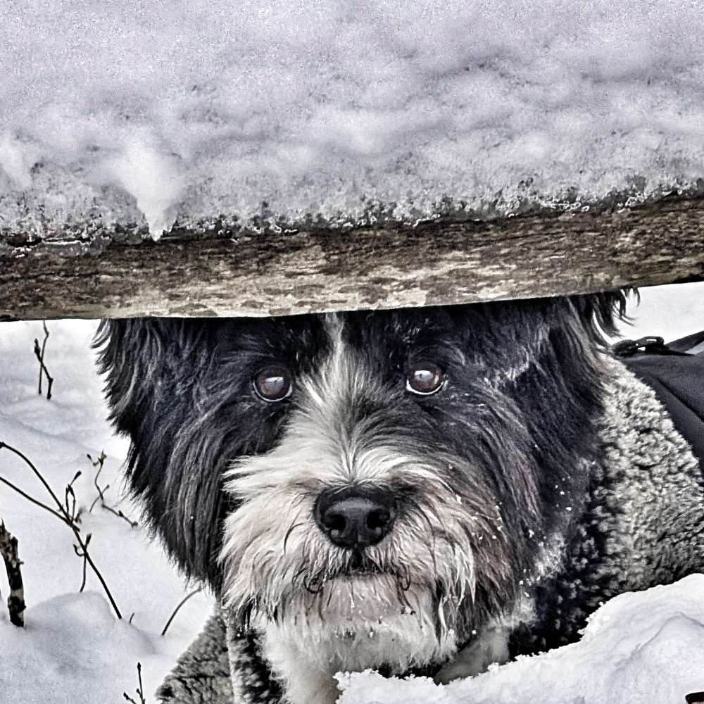 148. Video Wettbewerb Banner