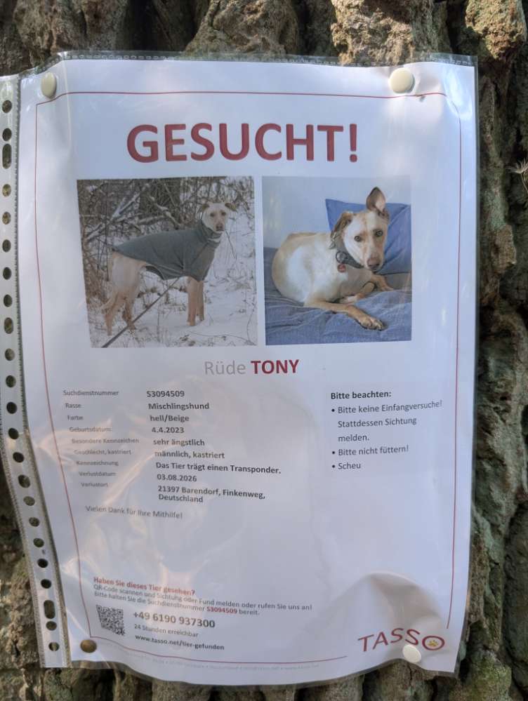 Suchmeldung-Tony-Profilbild