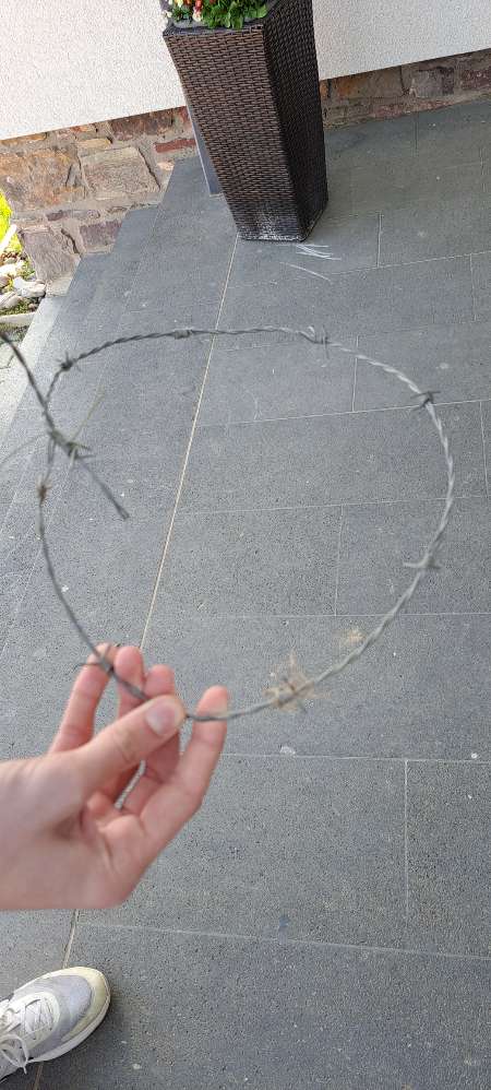 Giftköder-Stacheldraht auf der Wiese-Profilbild