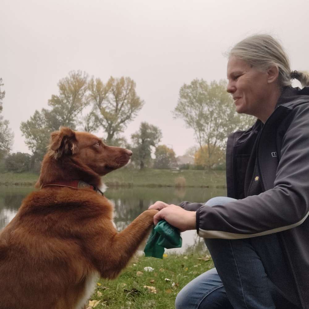 Hundetreffen-Gemeinsam Aktiv mit Hund-Profilbild