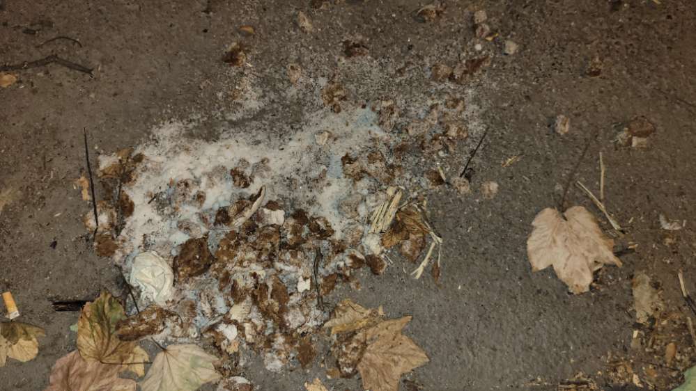 Giftköder-Brot mit weißem kristallinem Pulver-Profilbild