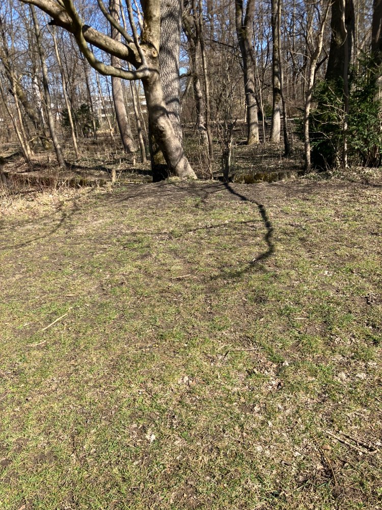 Giftköder-Ausgelegte Leckerlies-Profilbild