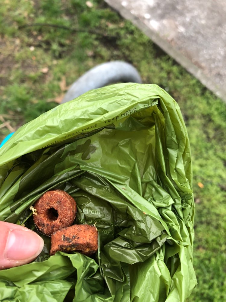 Giftköder-Leckerlies am Wegesrand im Gras-Profilbild