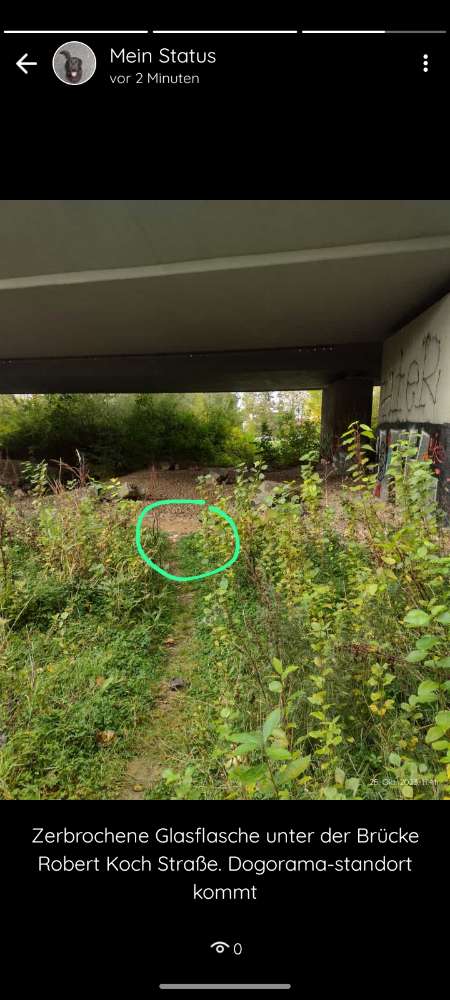 Giftköder-Zerbrochene flasche. Teils sehr groß.-Profilbild