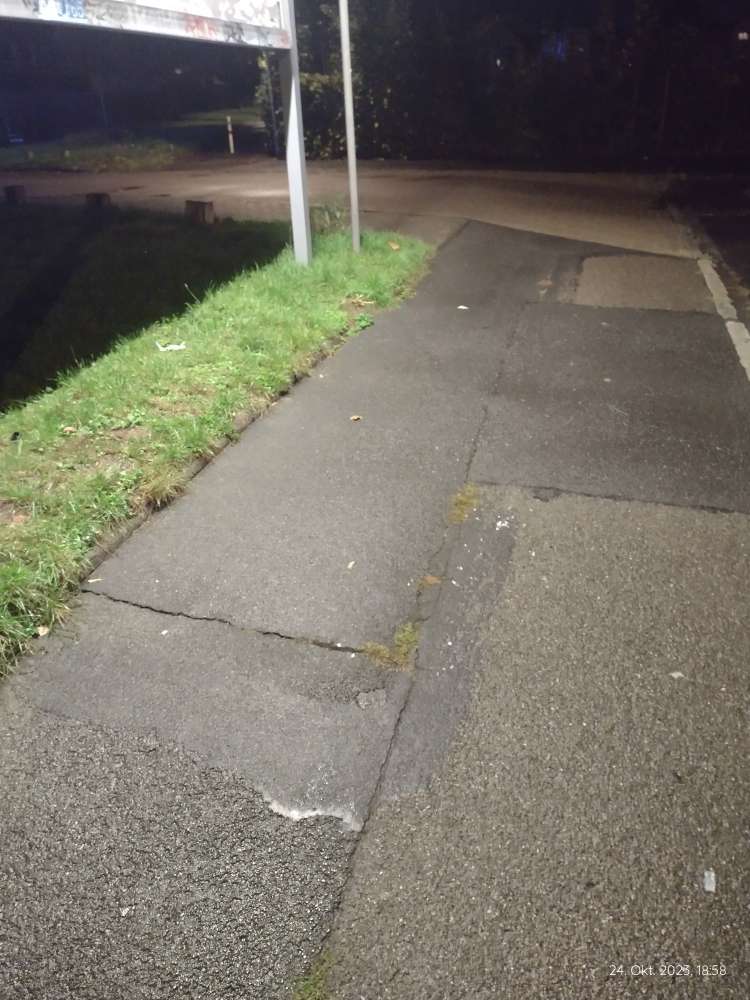 Giftköder-Glassplitter-Profilbild