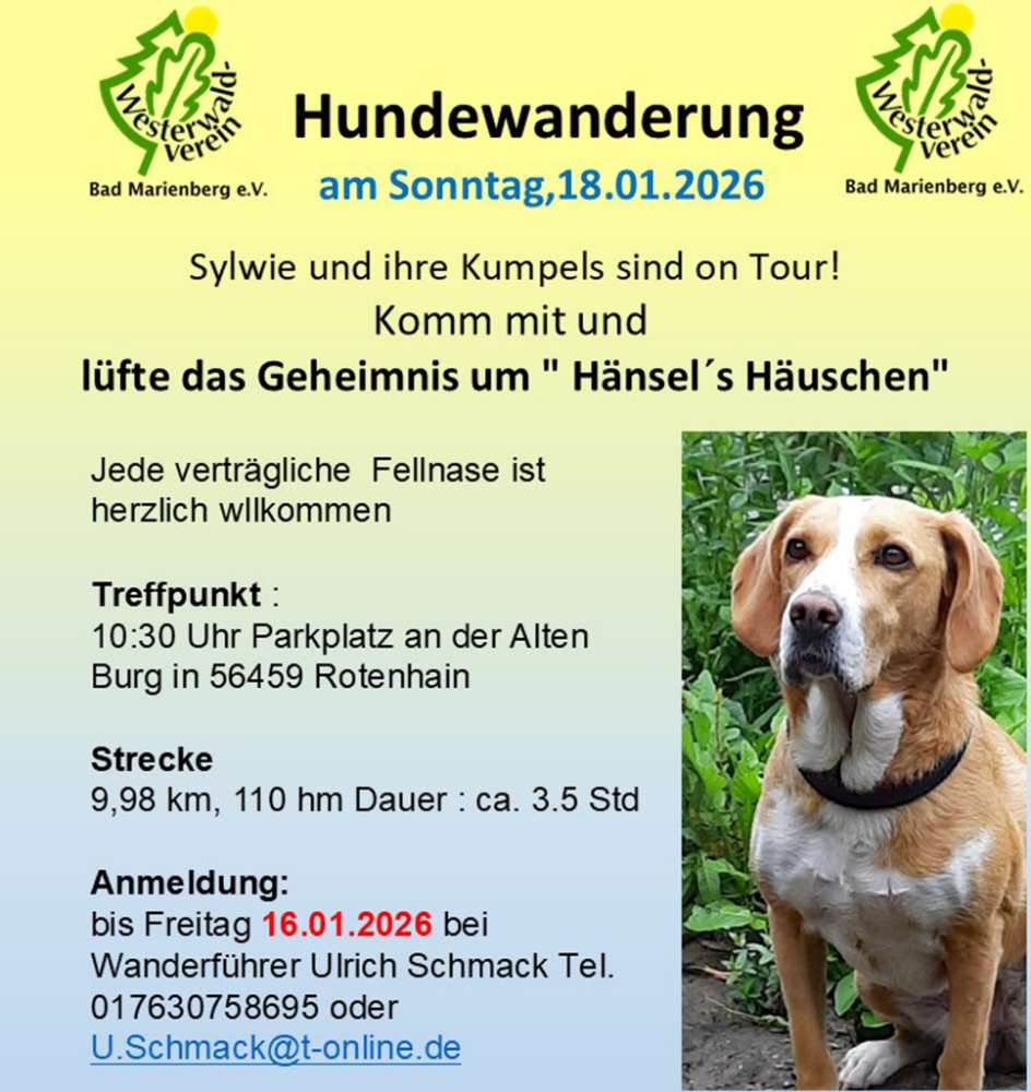 Hundetreffen-Hundewanderung-Profilbild