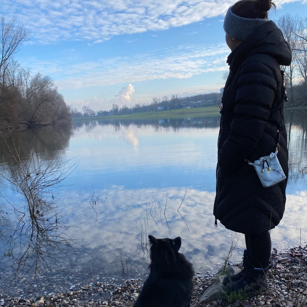 Hundetreffen-Gassidates am Rhein Theodor Heuss Brücke ☺️-Profilbild