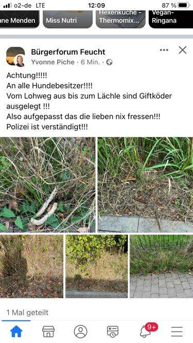 Giftköder-Weitere Giftköder-Profilbild