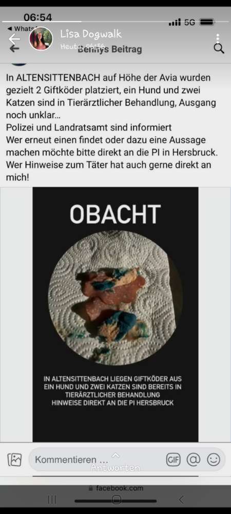 Giftköder-Giftköder-Profilbild