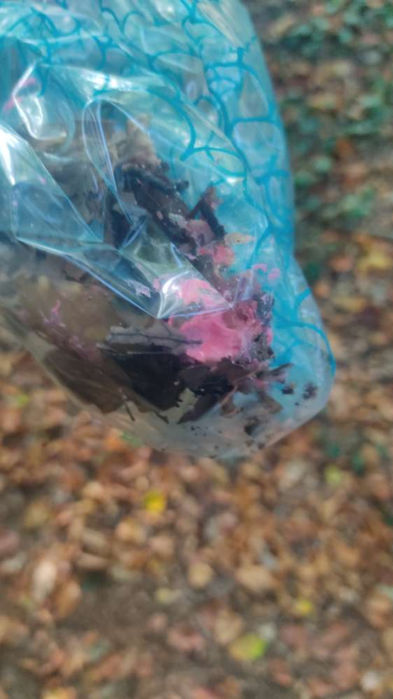 Giftköder-Achtung Giftköder-Profilbild