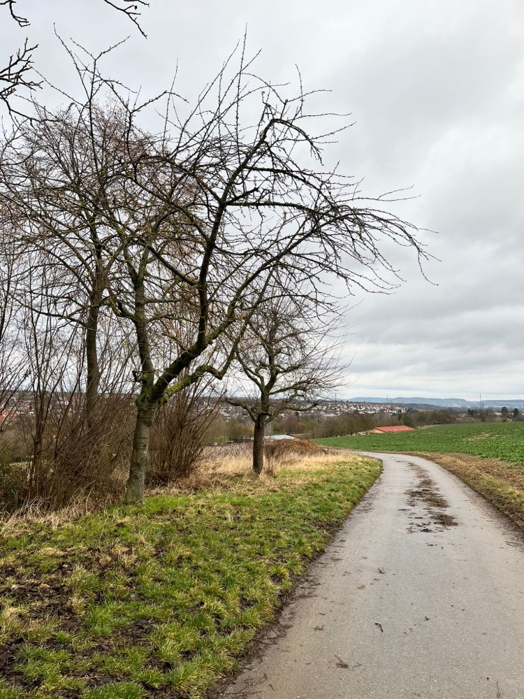 Giftköder-Unbekannte Knochen-Profilbild