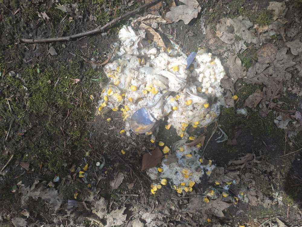 Giftköder-Vergiftete Essensreste-Profilbild