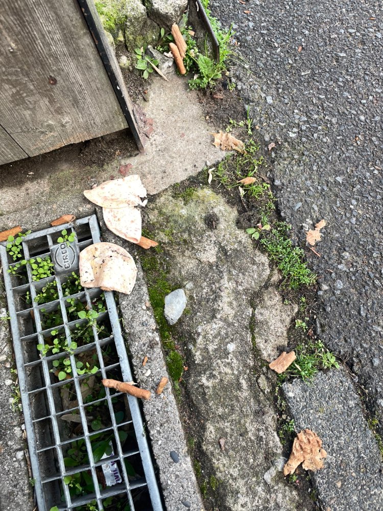 Giftköder-Mysteriöse Wurst und Leckerlis-Profilbild