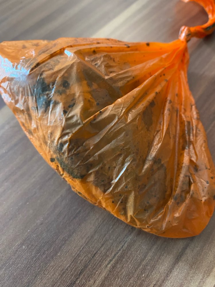 Giftköder-Möglicher Giftköder-Profilbild