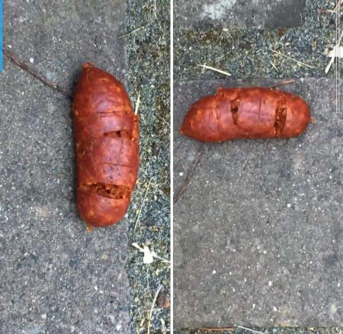 Giftköder-Vermutlich Giftköder-Profilbild