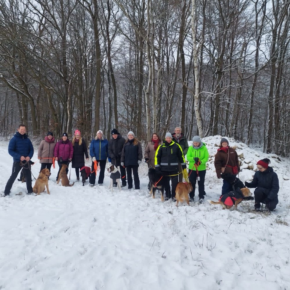 Hundetreffen-Spaziergang Verein der Hundefreunde und des Tierschutzes Hunsrück e.V.-Profilbild