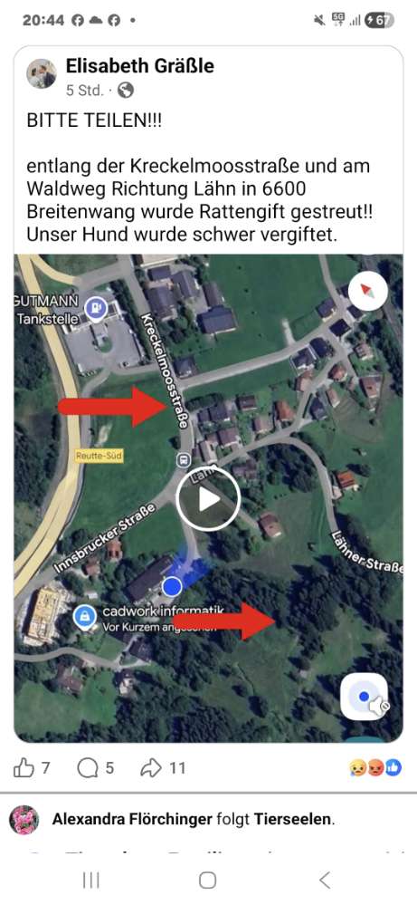 Giftköder-Giftköder-Profilbild