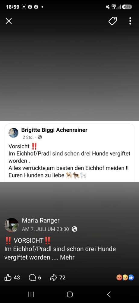 Giftköder-Giftköder-Profilbild