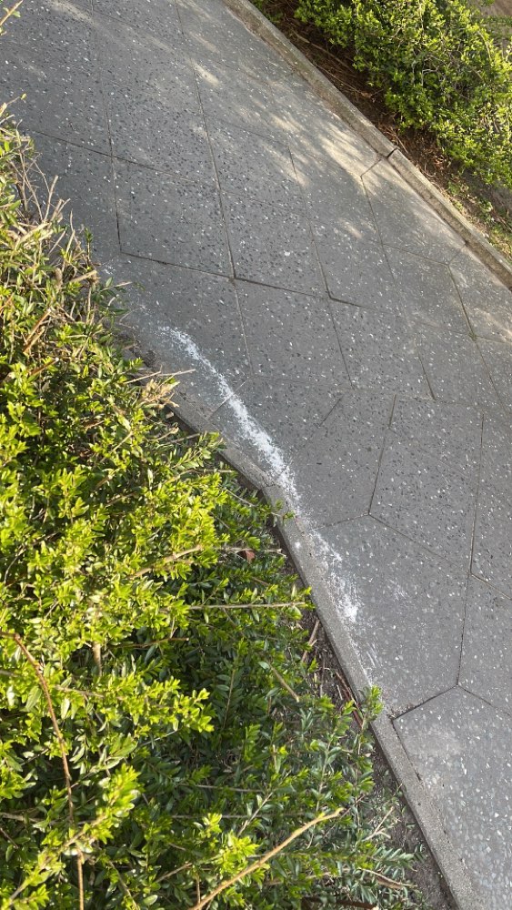 Giftköder-Weißes Pulver-Profilbild