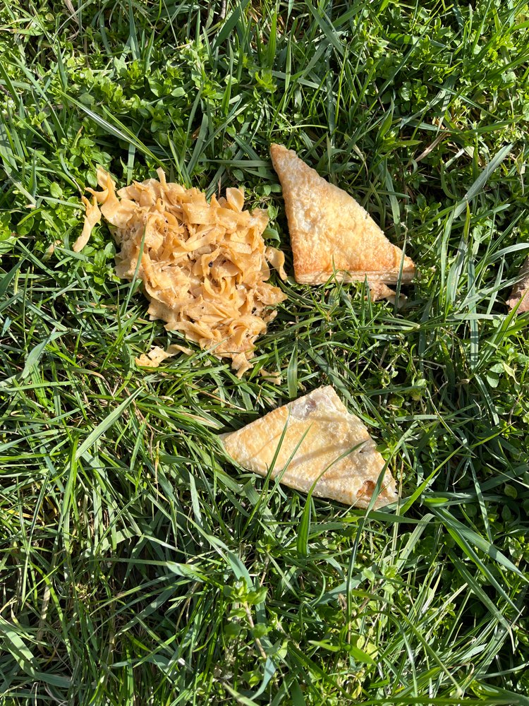 Giftköder-Vermutlicher Giftköder-Profilbild