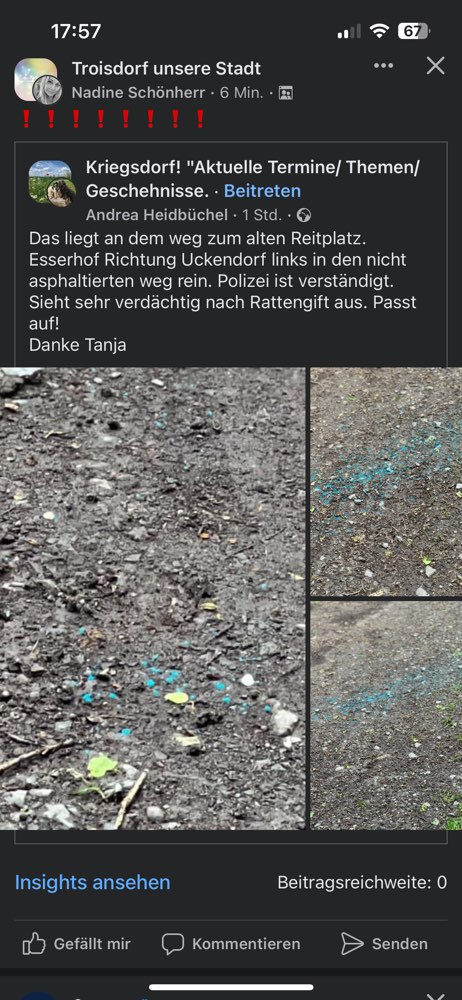 Giftköder-Wahrscheinlich Ratten Gift-Profilbild