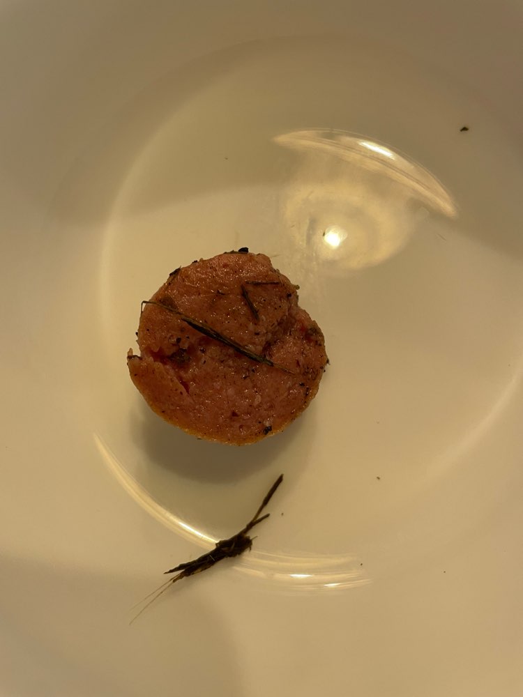 Giftköder-Wurststückchen am Wegesrand unter Laub-Profilbild