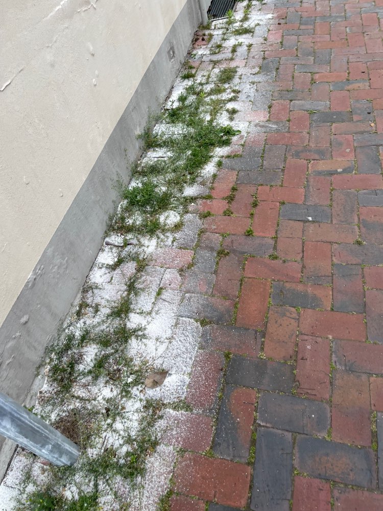 Giftköder-Komisches Pulver evtl Unkrautvernichter-Profilbild