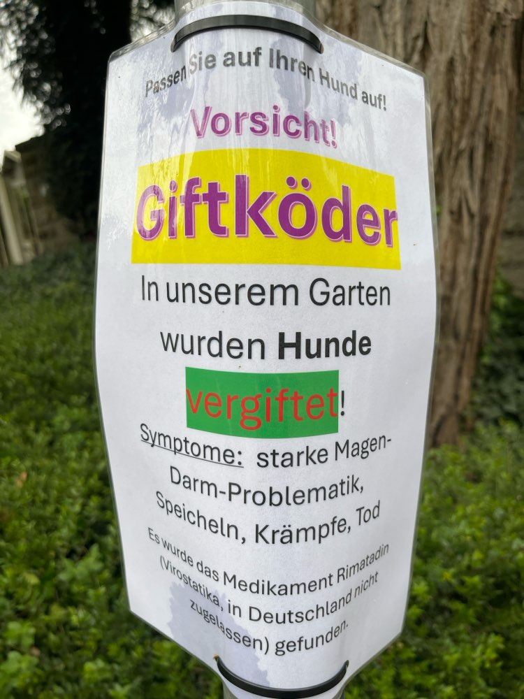 Giftköder-Gift-Profilbild