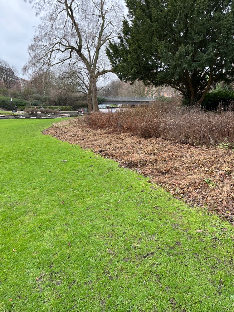 Giftköder-Vermutlich Giftköder-Profilbild