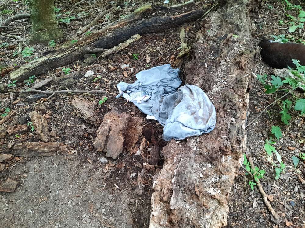 Giftköder-Tote Katze mit Kuscheldecke-Profilbild