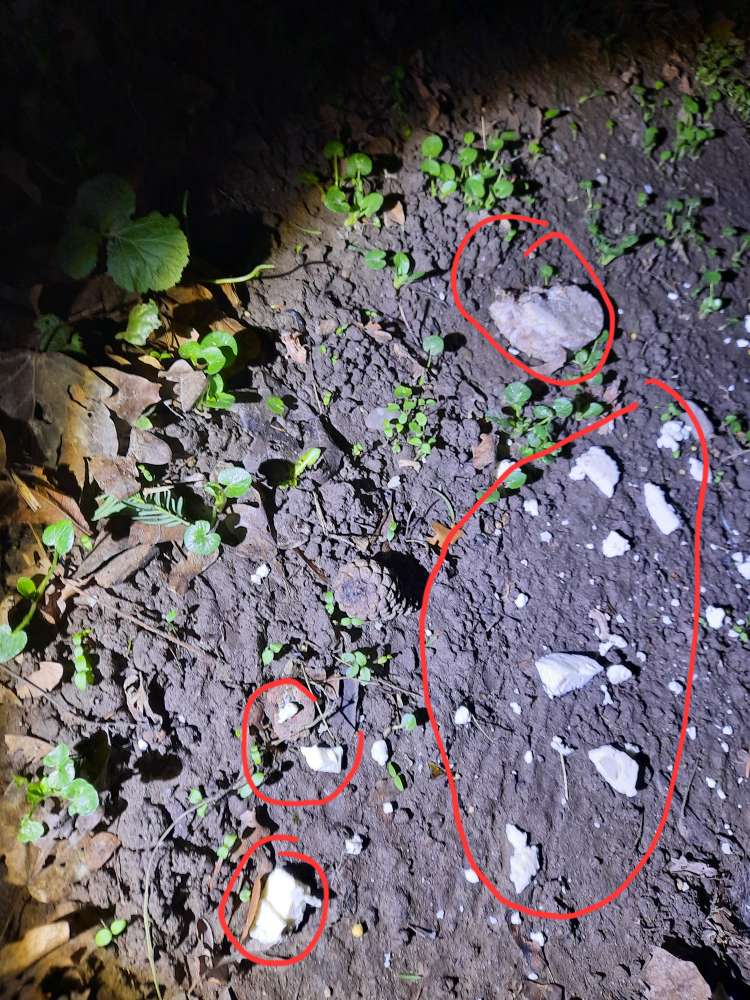 Giftköder-Höhenberger Kirchweg Giftköder?-Profilbild