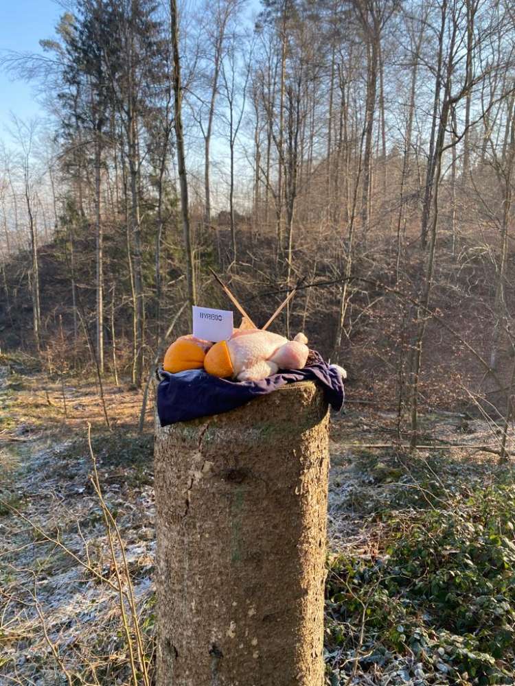 Giftköder-Vorsicht gehäutetes Huhn im Wald-Profilbild