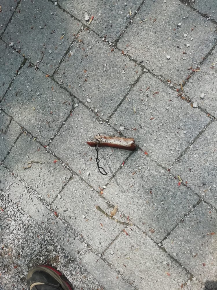 Giftköder-Speck mit Draht-Profilbild