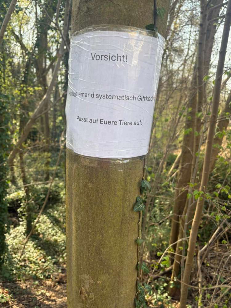 Giftköder-Giftköder-Profilbild