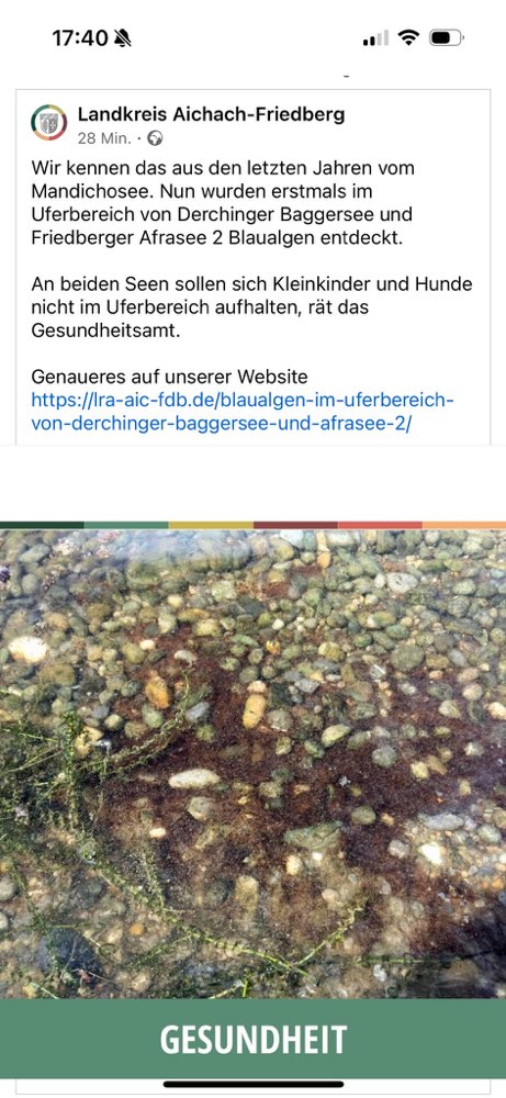 Giftköder-Blaualgen Afrasee-Profilbild