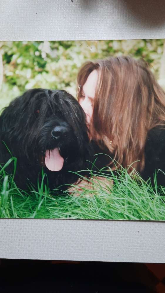 Hundetreffen-Hundetreffen  in Alt Kirchdorf/ Wilhelmsburg und Harburg-Profilbild