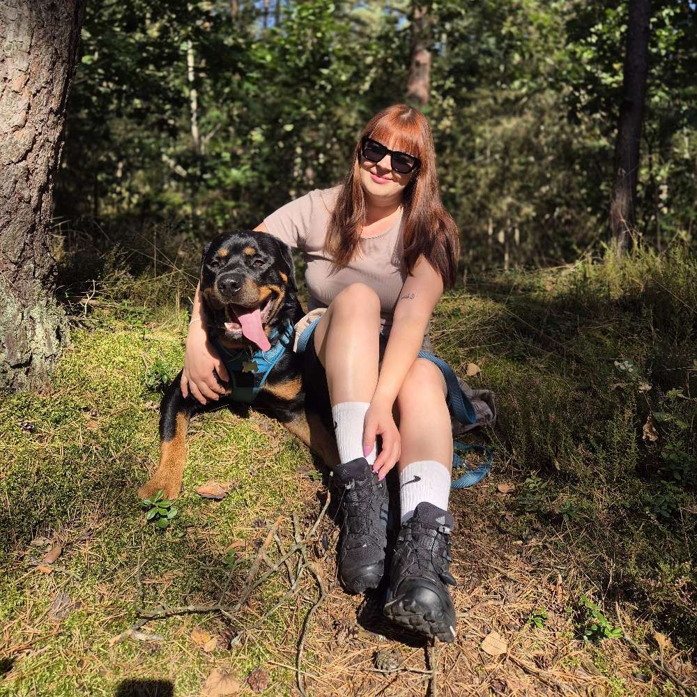 Hundetreffen-Social Walk / Spielkamerad-Profilbild